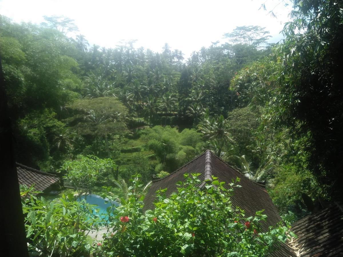 Villa Wedang Tegallalang  Zewnętrze zdjęcie