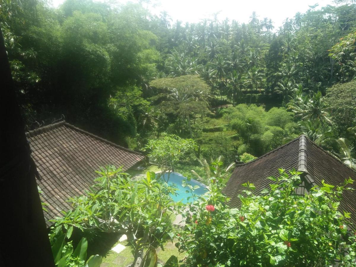 Villa Wedang Tegallalang  Zewnętrze zdjęcie